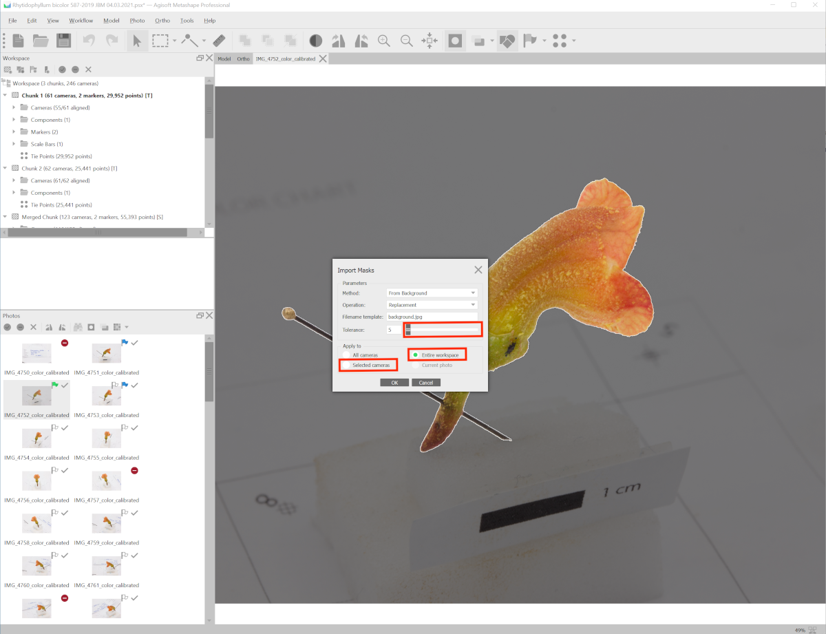 Import mask from a black image *background.jpg*, and select a tolerance value, to test on the selected camera (the image you right-clicked on). If the automatic mask is automatically well adjusted around the flower shape (darker gray around the flower), then apply to entire workspace (all the images).